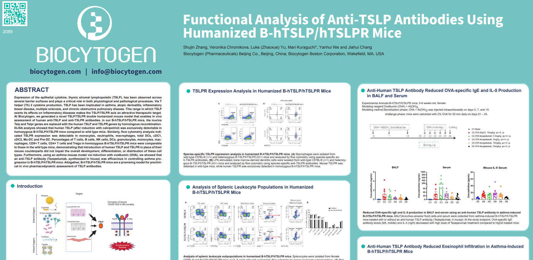 AACR 2022: Functional Analysis Of Anti-TSLP Antibodies Using Humanized ...