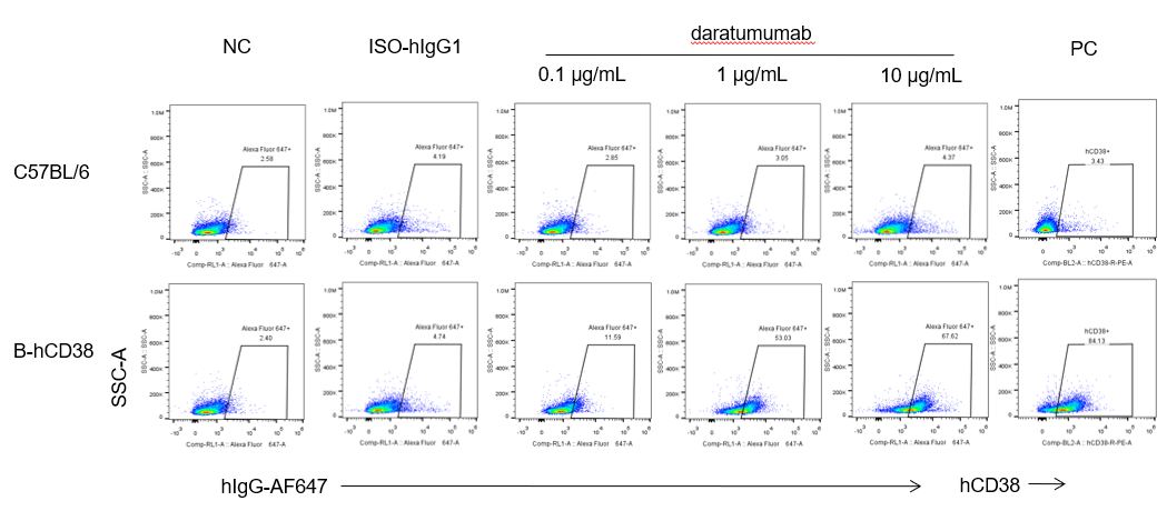 B-hCD38 Mice - Biocytogen