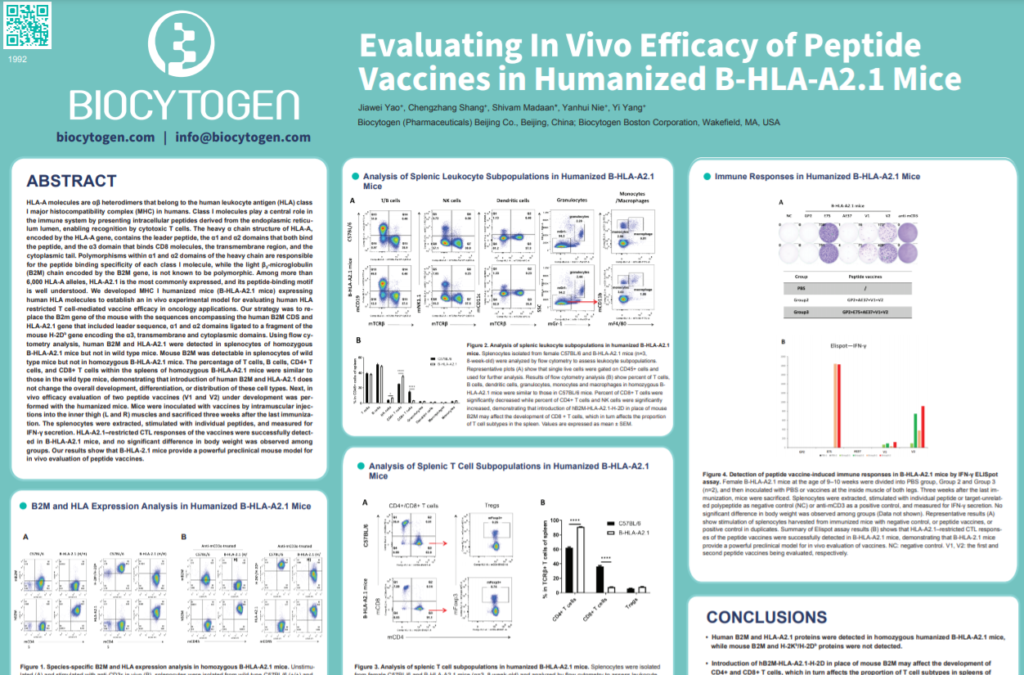 AACR 2022: Evaluating In Vivo Efficacy Of Peptide Vaccines In Humanized ...