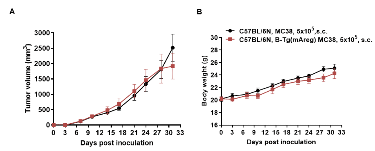 B-Tg(mAreg) MC38 - Biocytogen