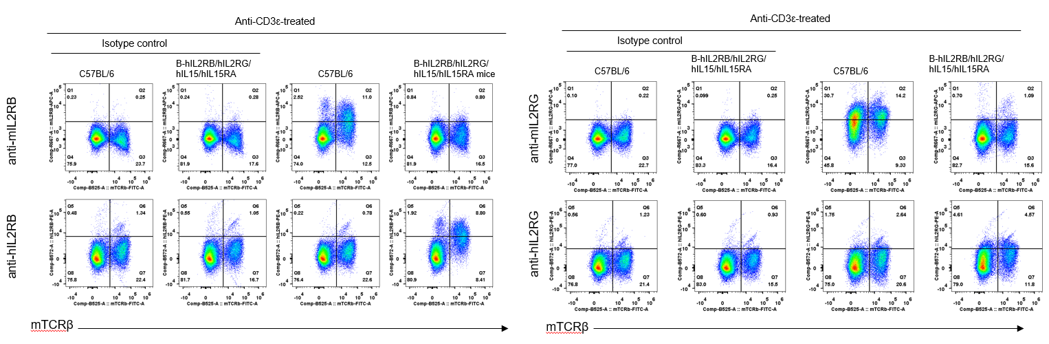 B-hIL2RB/hIL2RG/hIL15/hIL15RA Mice - Biocytogen