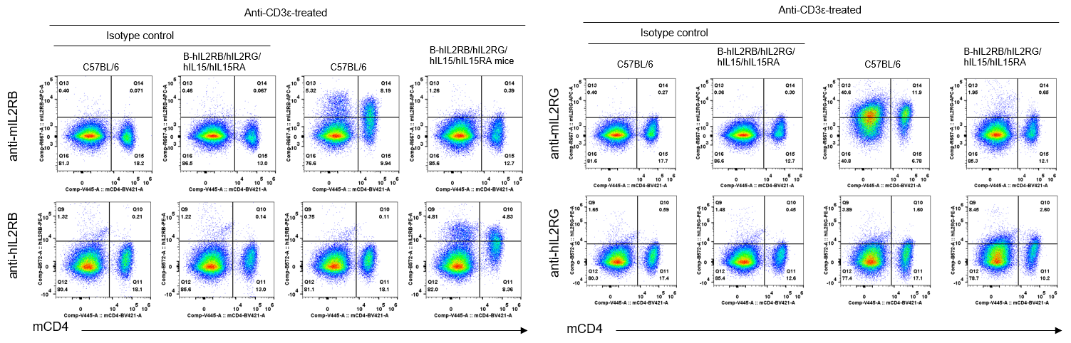 B-hIL2RB/hIL2RG/hIL15/hIL15RA Mice - Biocytogen