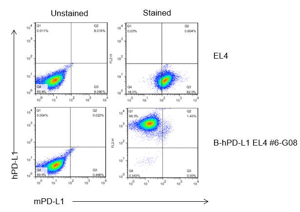 B-hPD-L1 EL4 - Biocytogen