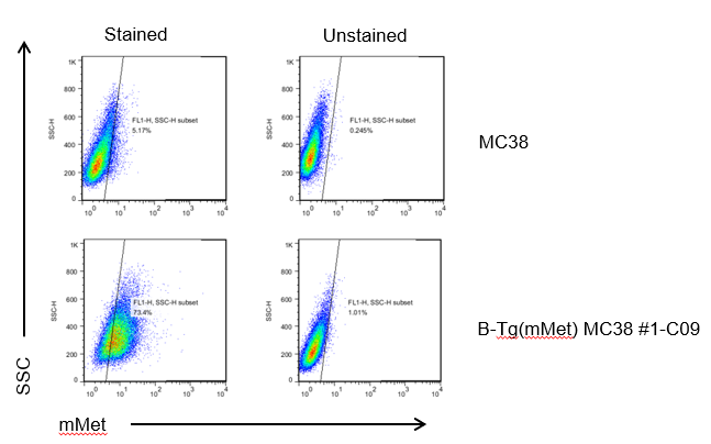 B-Tg(mMet) MC38 - Biocytogen