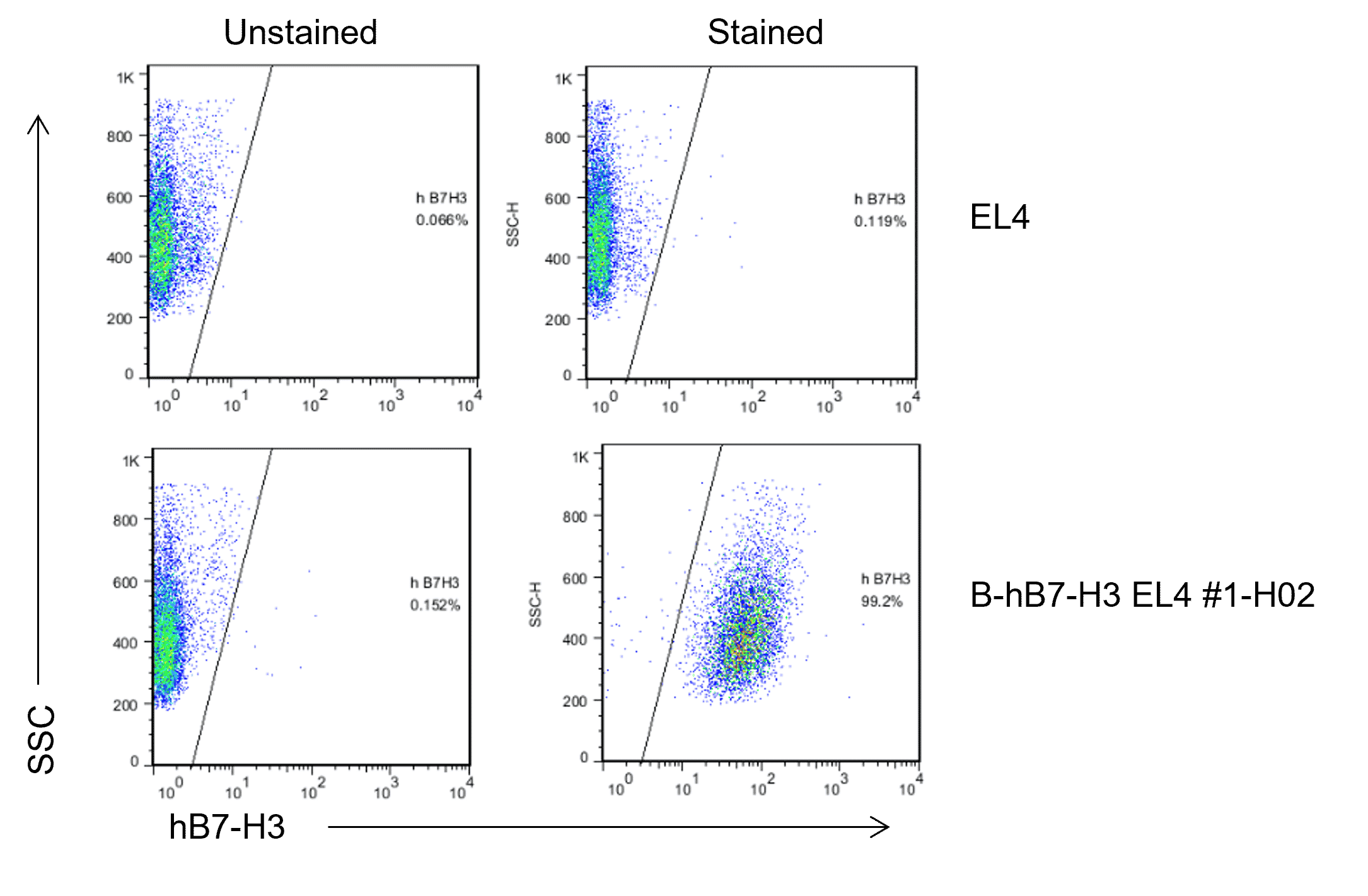 B-hB7-H3 EL4 - Biocytogen