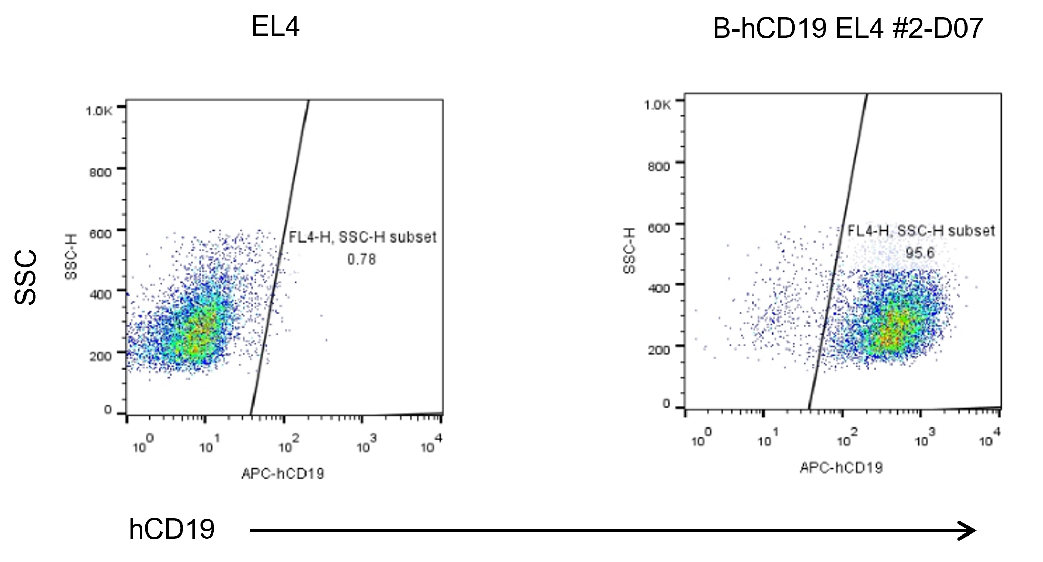 B-hCD19 EL4 - Biocytogen