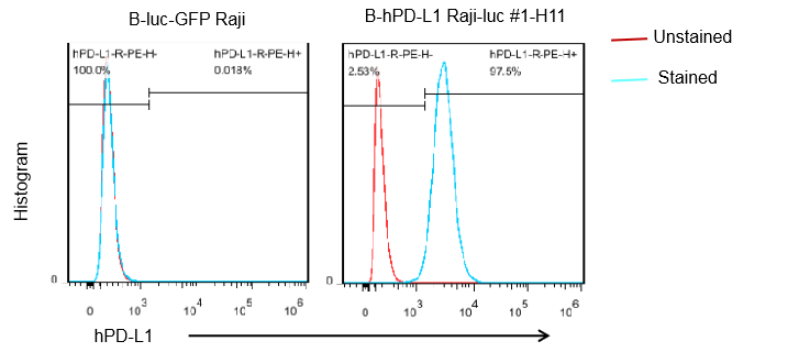 B-hPD-L1 Raji-luc - Biocytogen