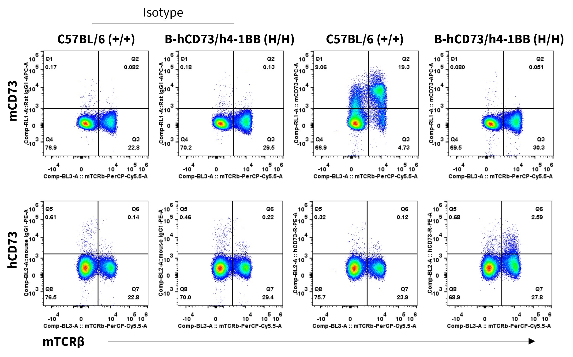 B-hCD73/h4-1BB Mice - Biocytogen