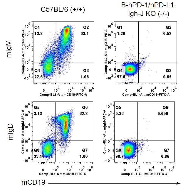 B-hPD-1/hPD-L1,Igh-J KO Mice - Biocytogen