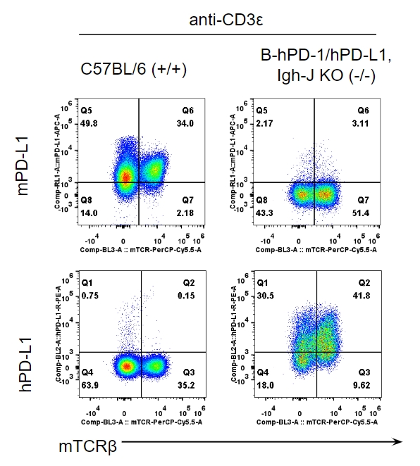 B-hPD-1/hPD-L1,Igh-J KO Mice - Biocytogen