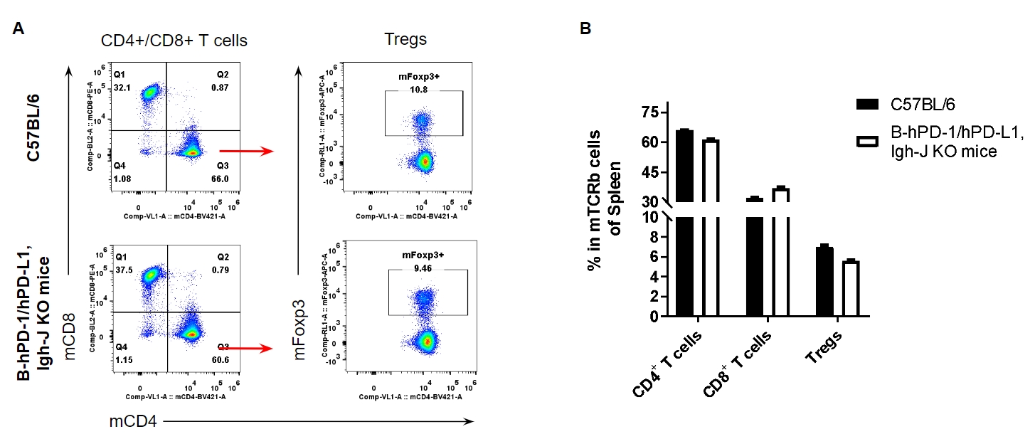 B-hPD-1/hPD-L1,Igh-J KO Mice - Biocytogen