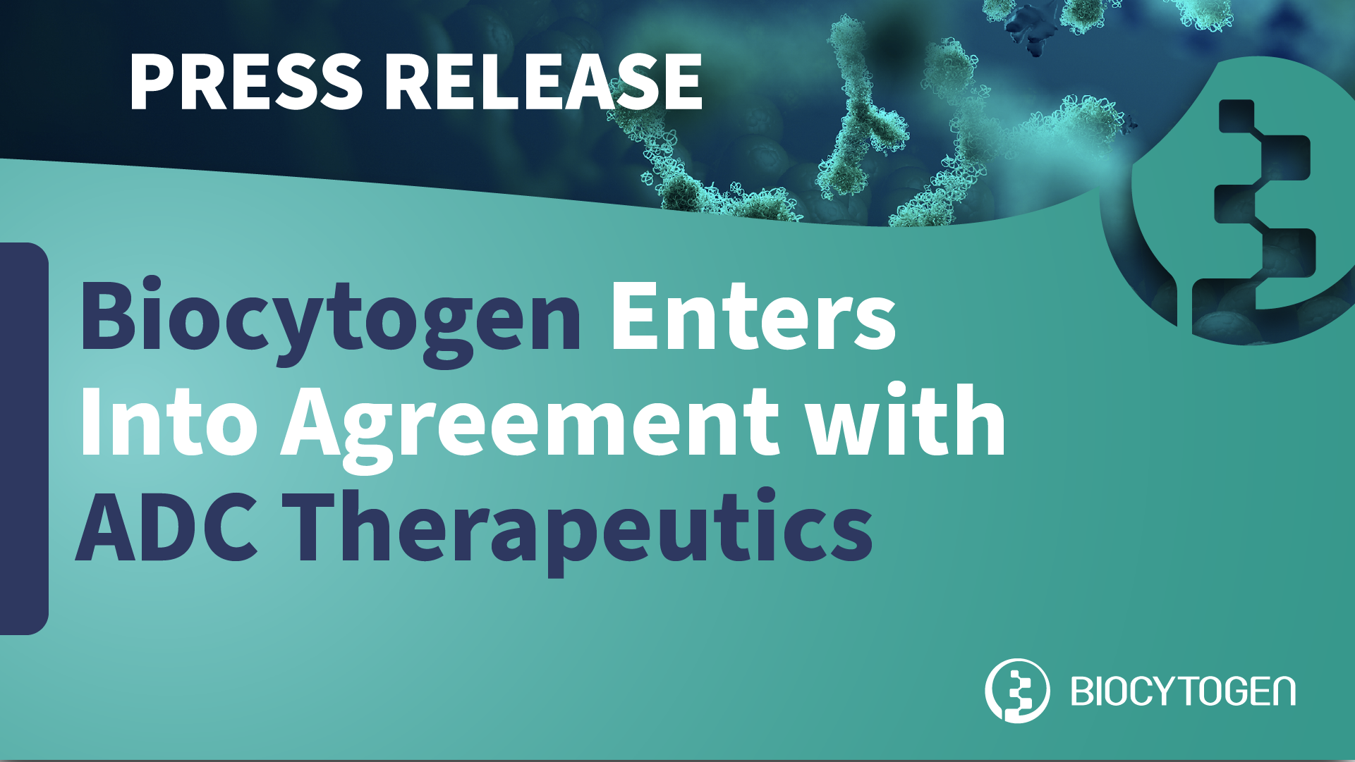 Biocytogen Enters Into Antibody Agreement With ADC Therapeutics ...