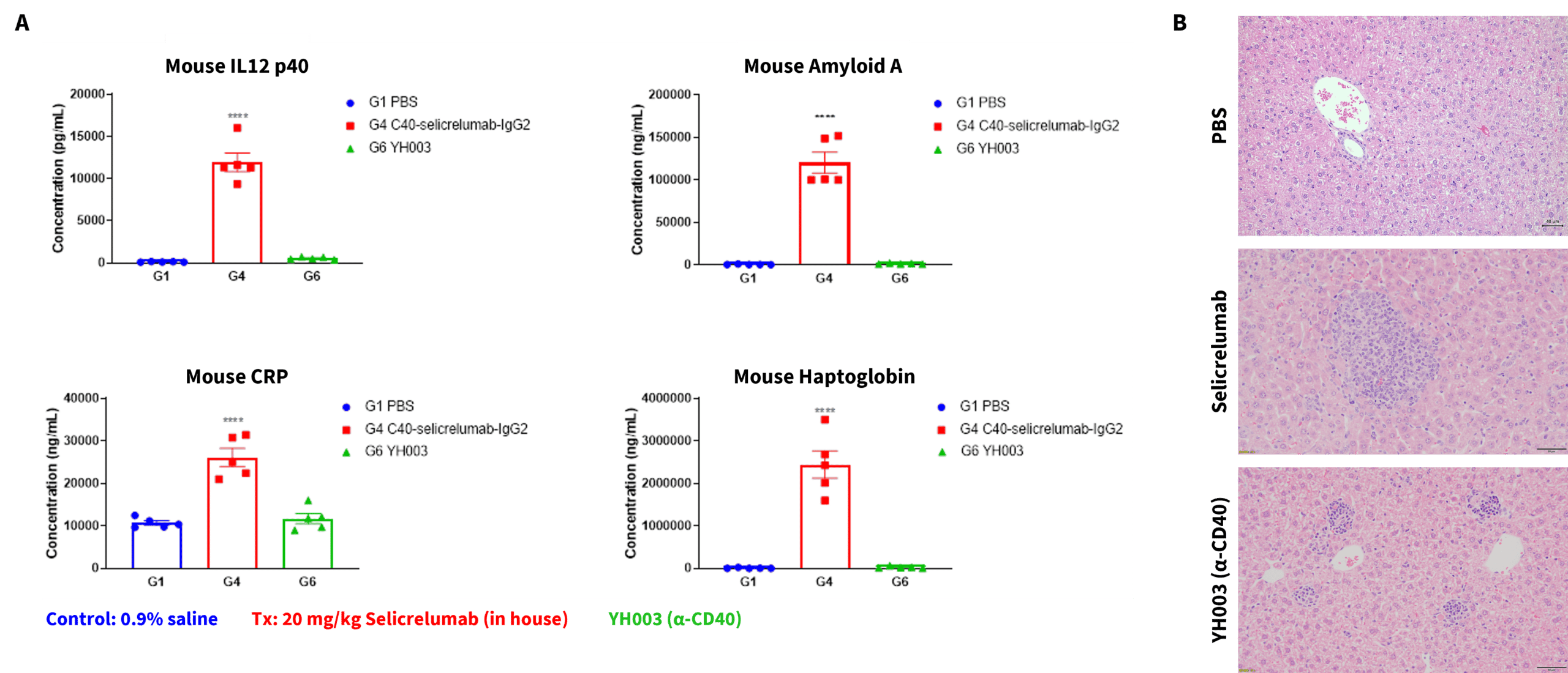 BioMice's Target Humanized Mouse Models Enable Preclinical Toxicity ...