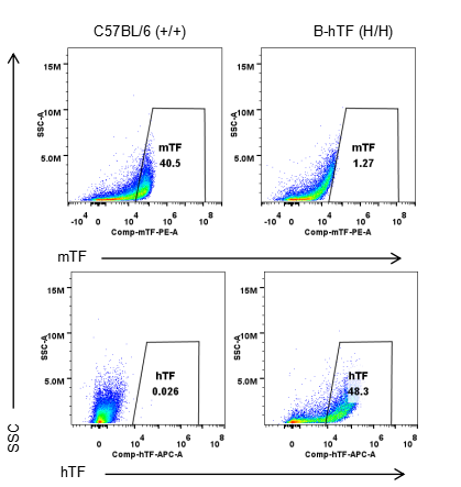 B-hTF Mice - Biocytogen