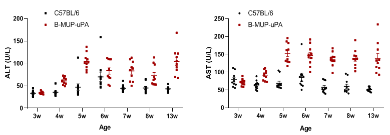 B-MUP-uPA Mice - Biocytogen