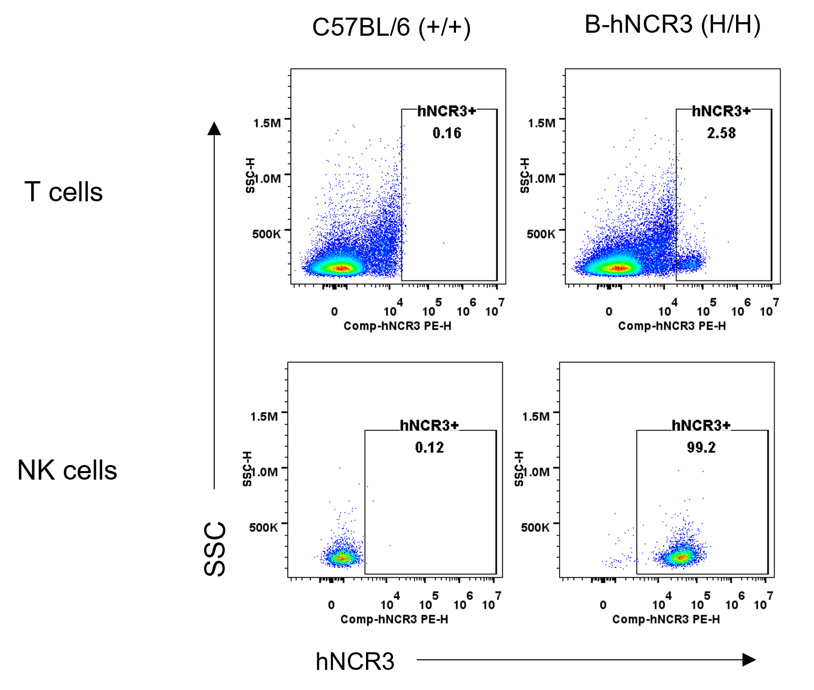 B-hNCR3 Mice - Biocytogen