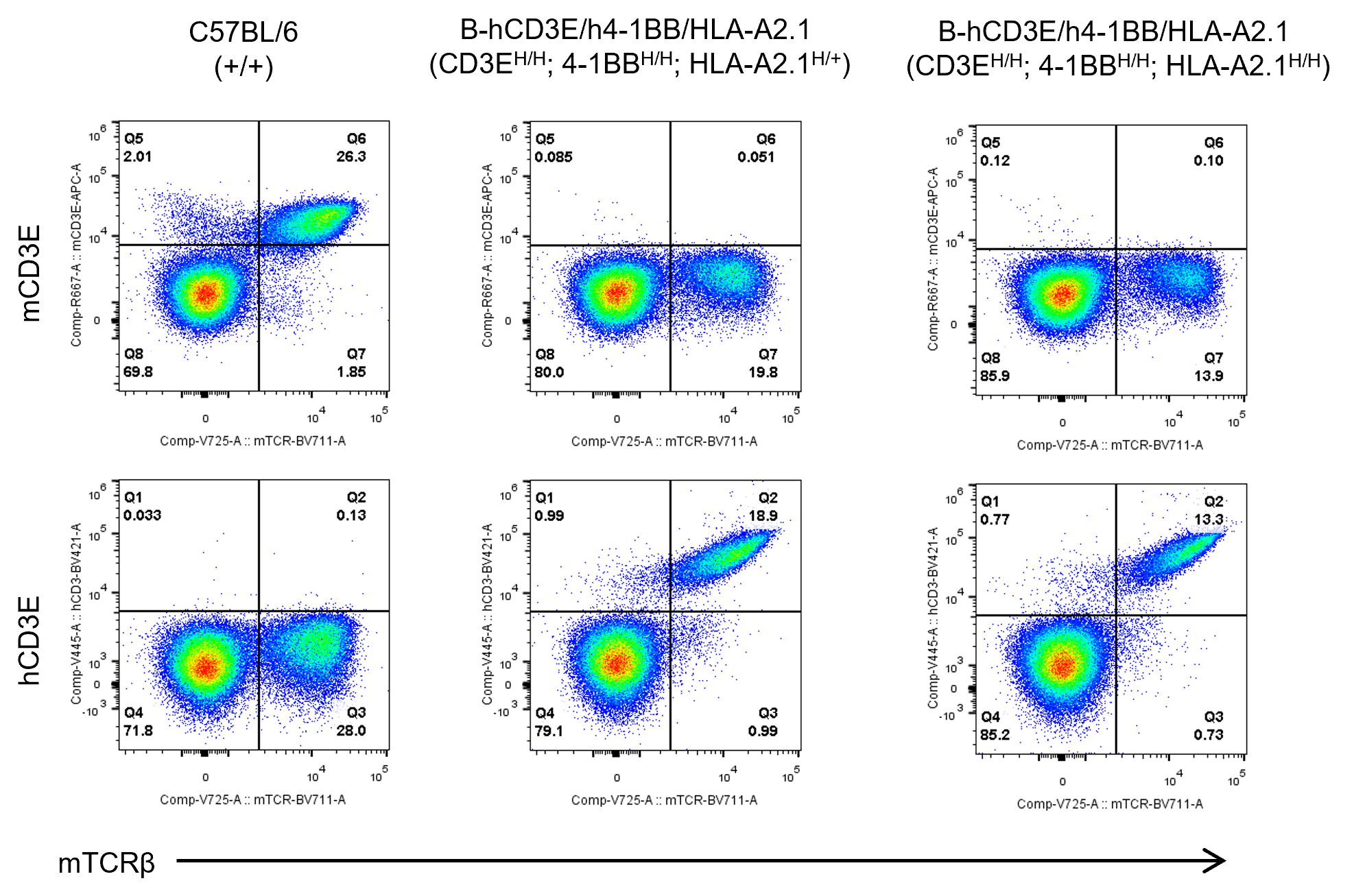 B-hCD3E/h4-1BB/HLA-A2.1 Mice - Biocytogen