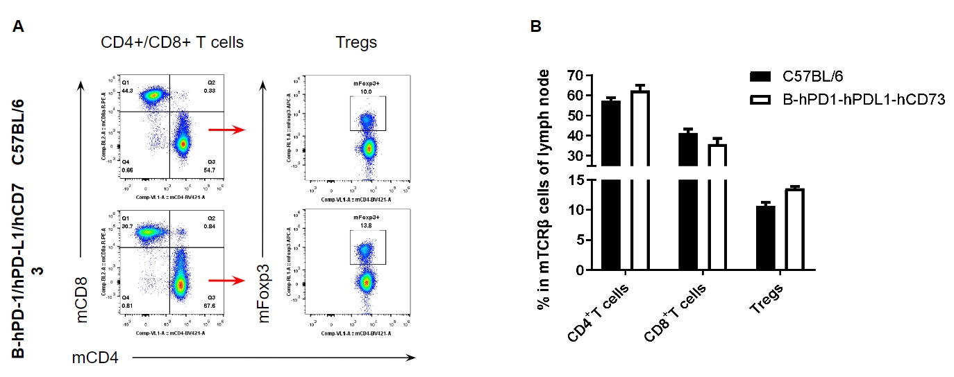 B-hPD-1/hPD-L1/hCD73 Mice - Biocytogen