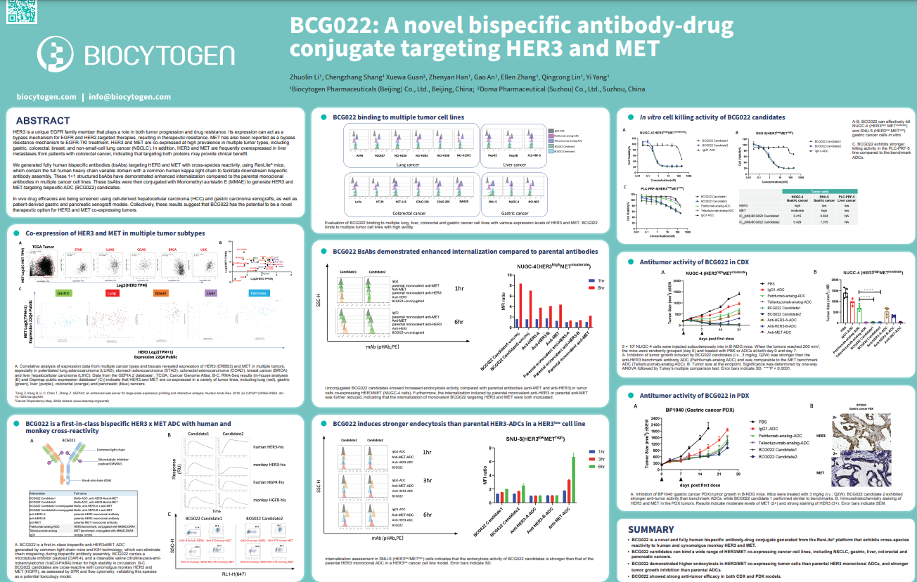 AACR 2023 BCG022 A Novel Bispecific AntibodyDrug Conjugate Targeting