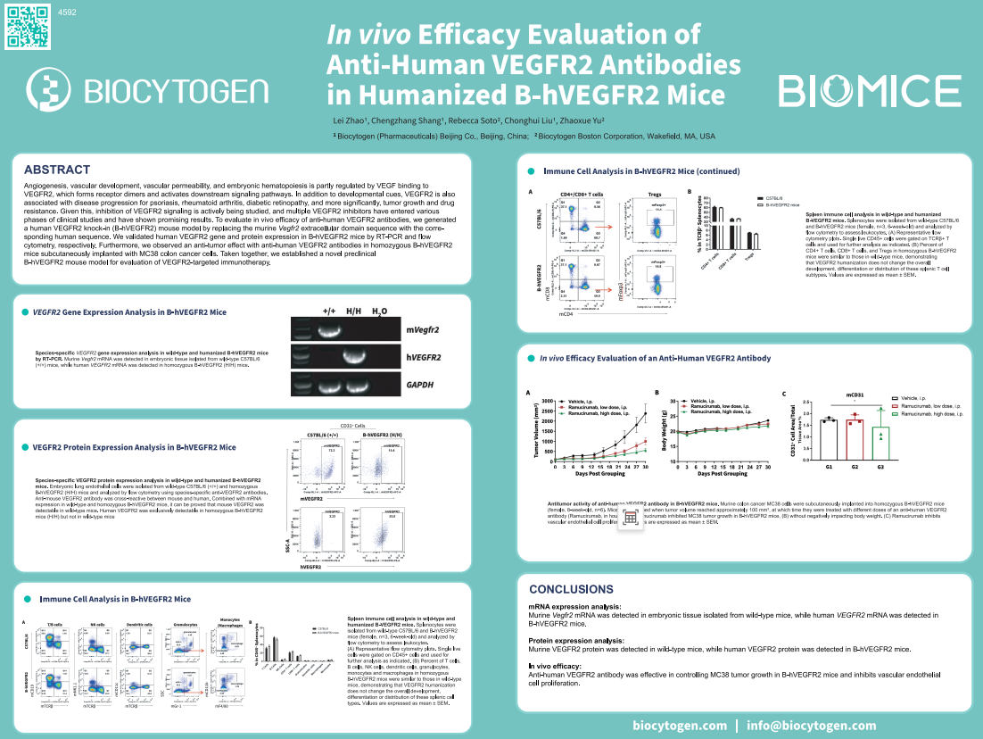 AACR 2023: In Vivo Efficacy Evaluation Of Anti-Human VEGFR2 Antibodies ...