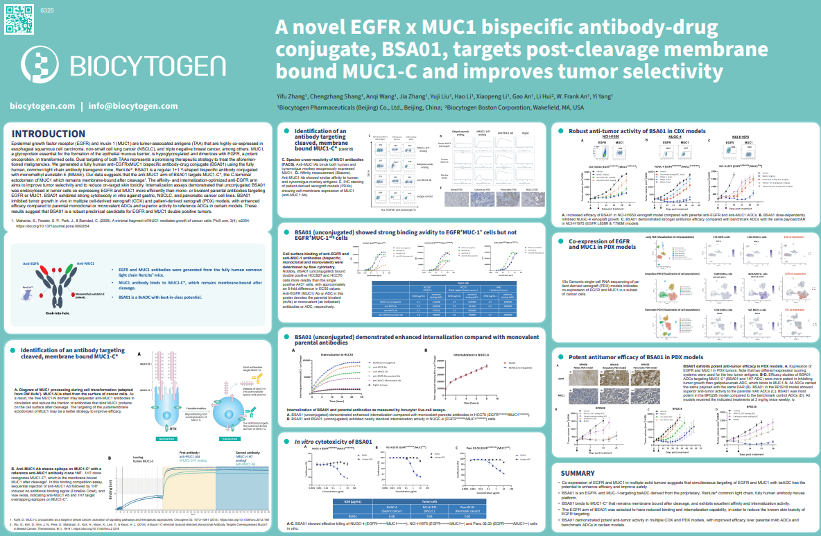AACR 2023 A Novel EGFR x MUC1 Bispecific AntibodyDrug Conjugate