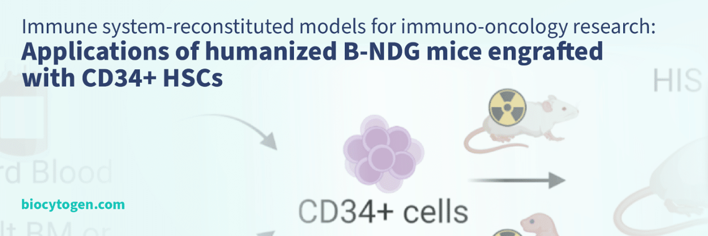 Applications Of CD34+ Humanized Mice | Biocytogen