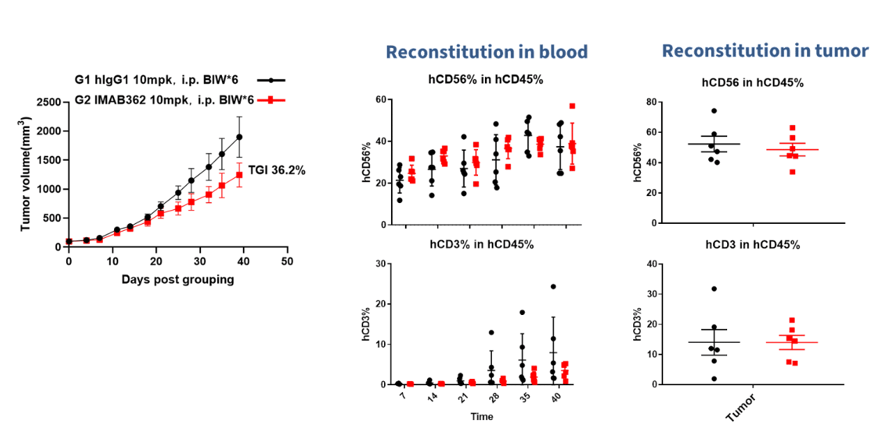 Applications Of CD34+ Humanized Mice | Biocytogen