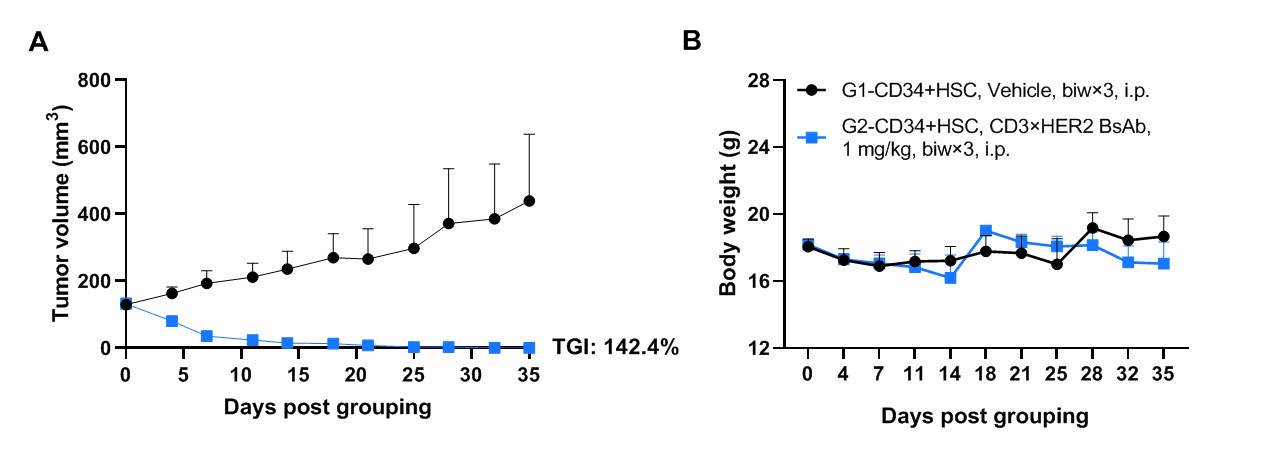 HuHSC-B-NDG HIL15 Mice - Biocytogen