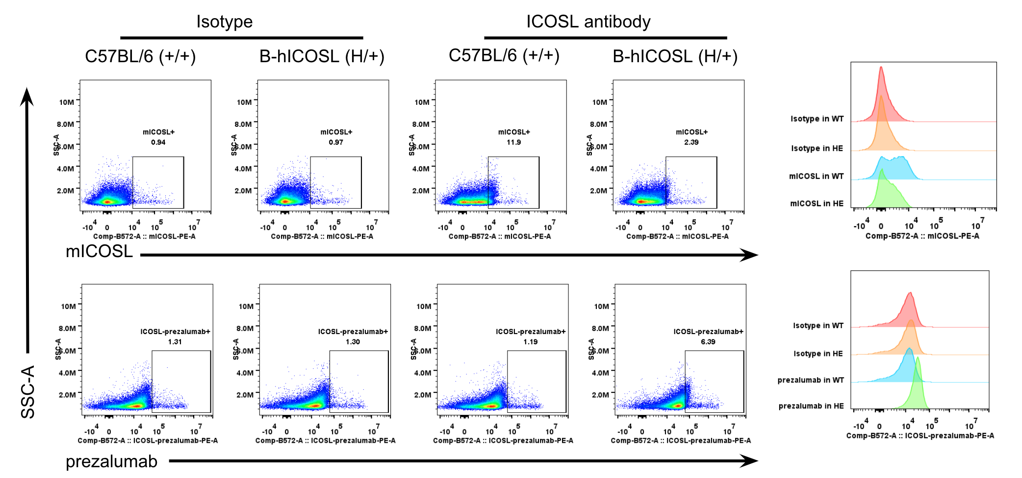 B-hICOSL Mice - Biocytogen