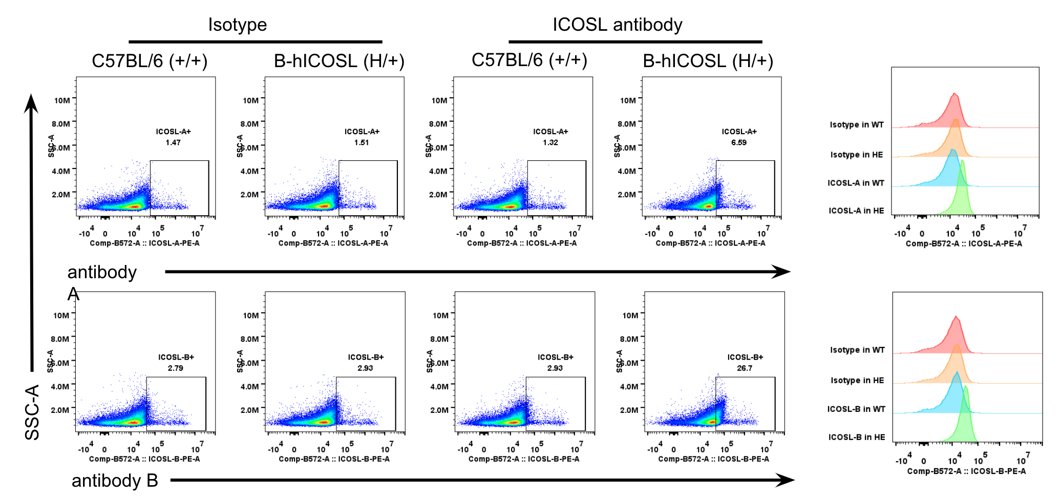 B-hICOSL Mice - Biocytogen