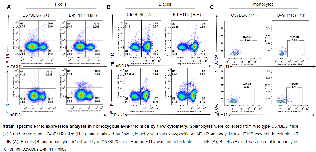 B-hF11R Mice - Biocytogen