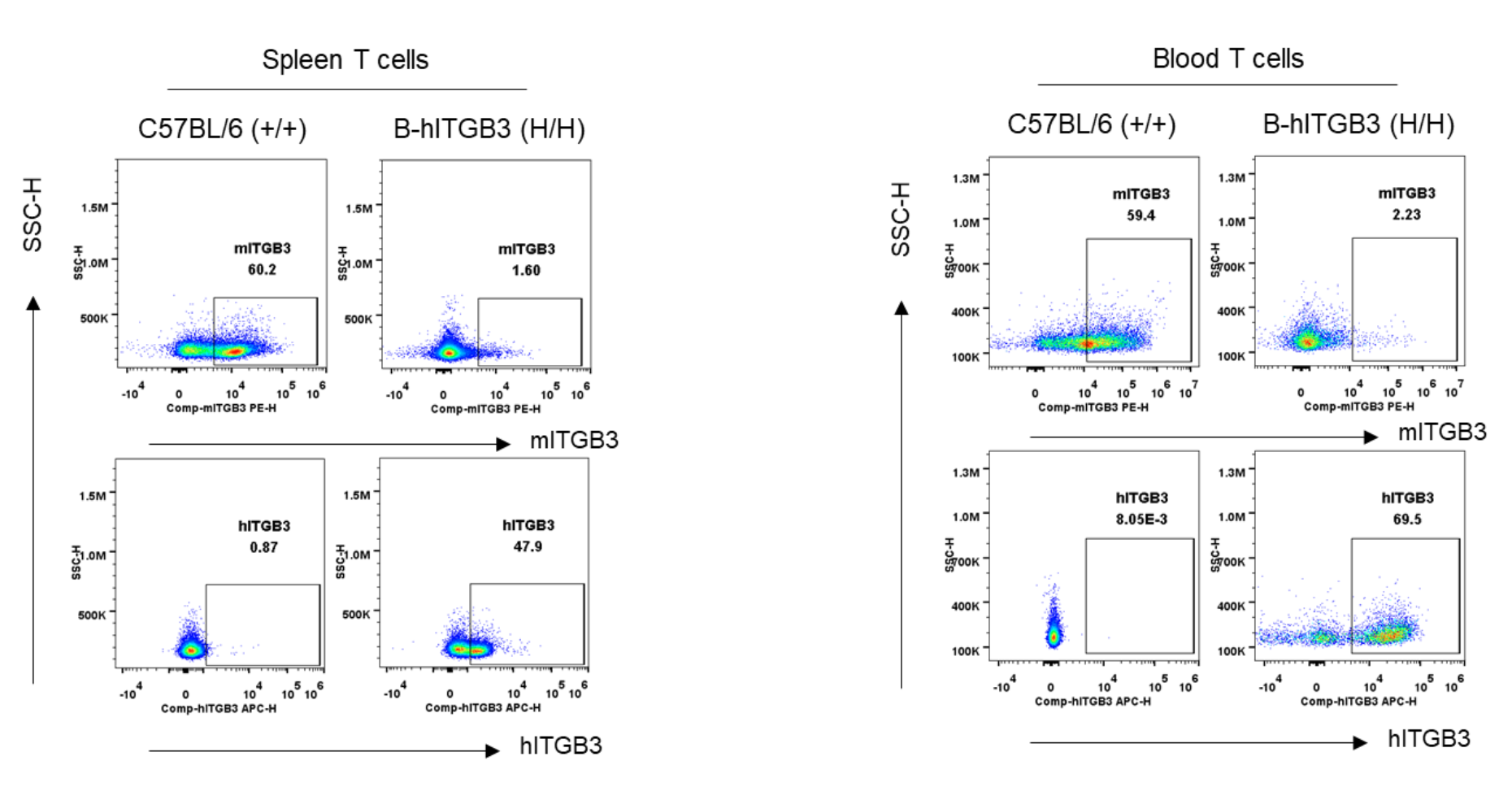 B-hITGB3 Mice - Biocytogen