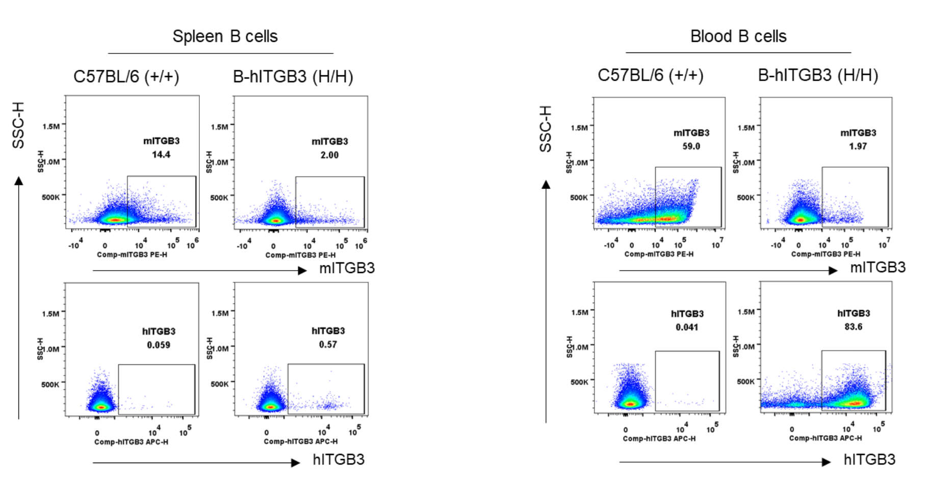 B-hITGB3 Mice - Biocytogen