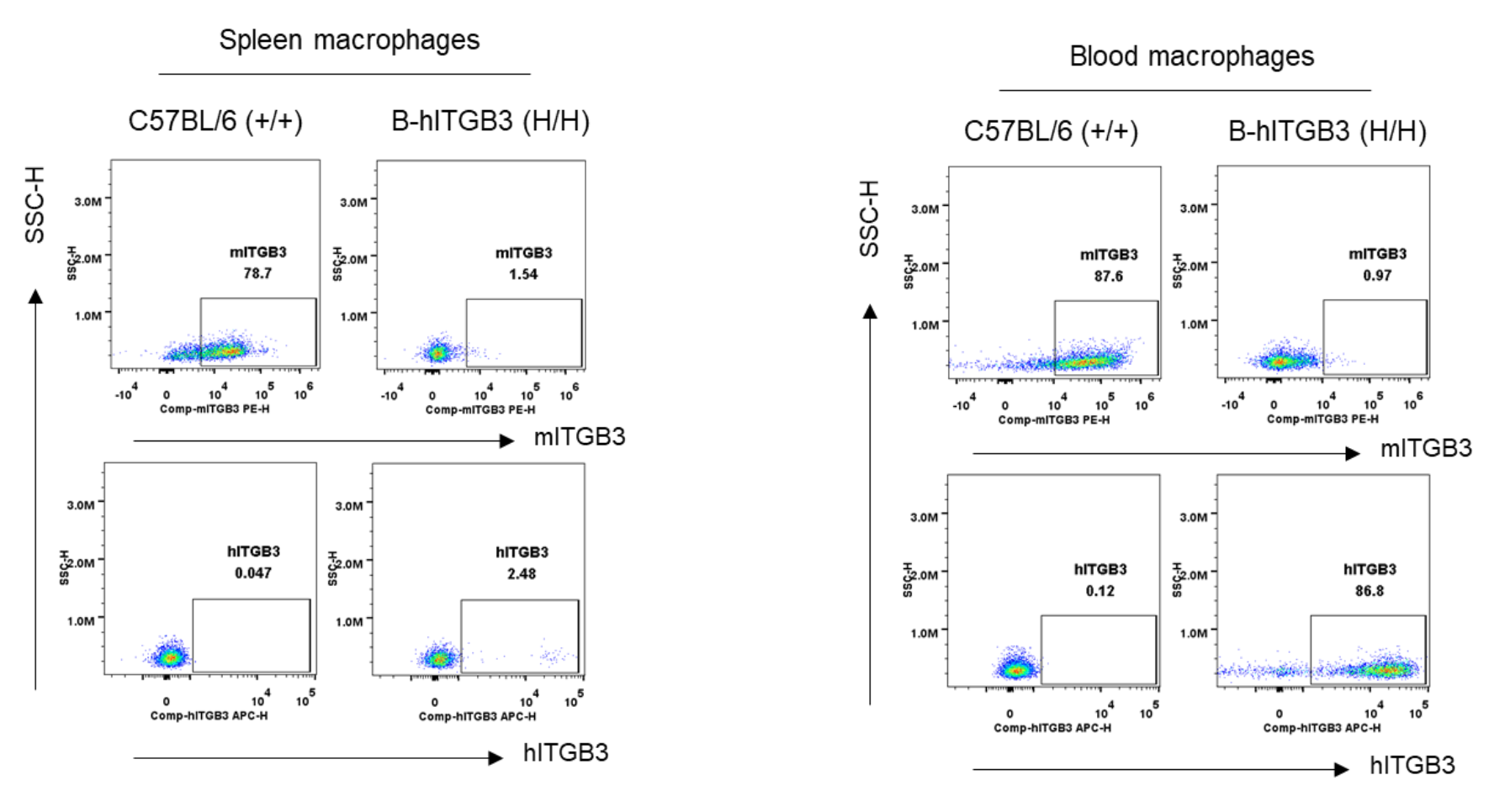 B-hITGB3 Mice - Biocytogen