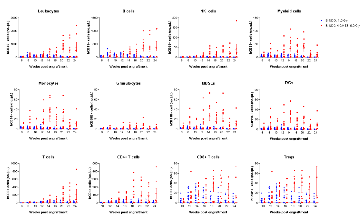 HuHSC-B-NDG MGMT3 Mice - Biocytogen