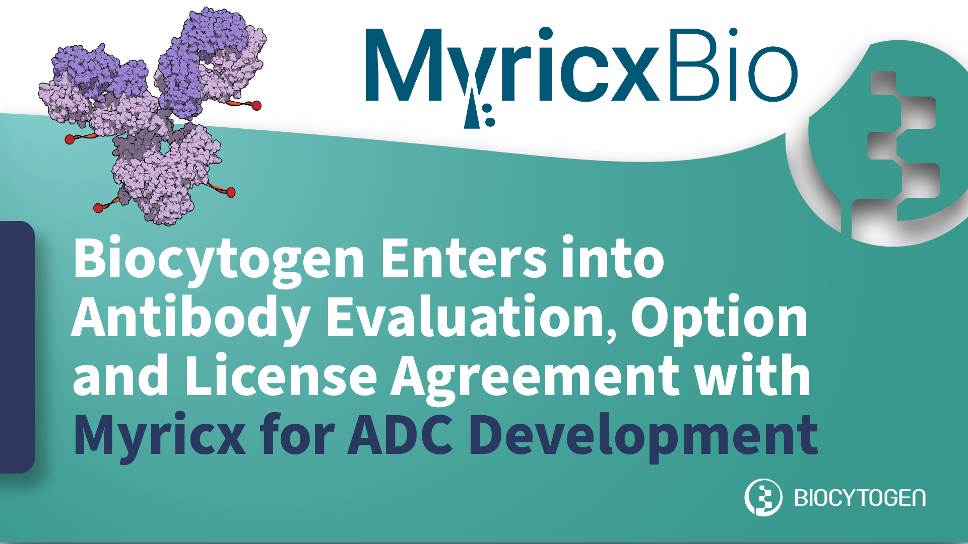 Antibody Discovery, Models & Preclinical Testing | Biocytogen