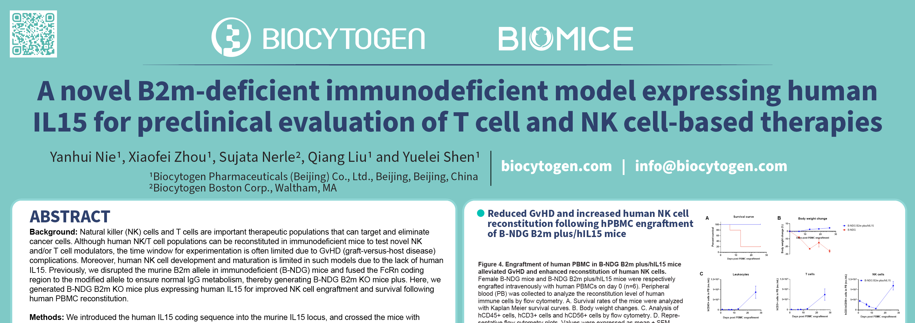 A Novel B2m-deficient Immunodeficient Model Expressing Human IL15 For ...