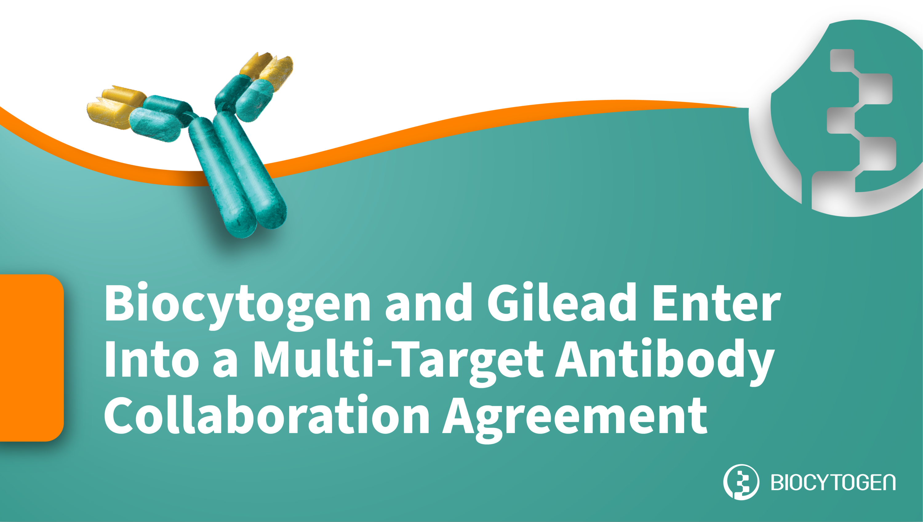 Biocytogen And Gilead Enter Into A Multi-Target Antibody Collaboration ...