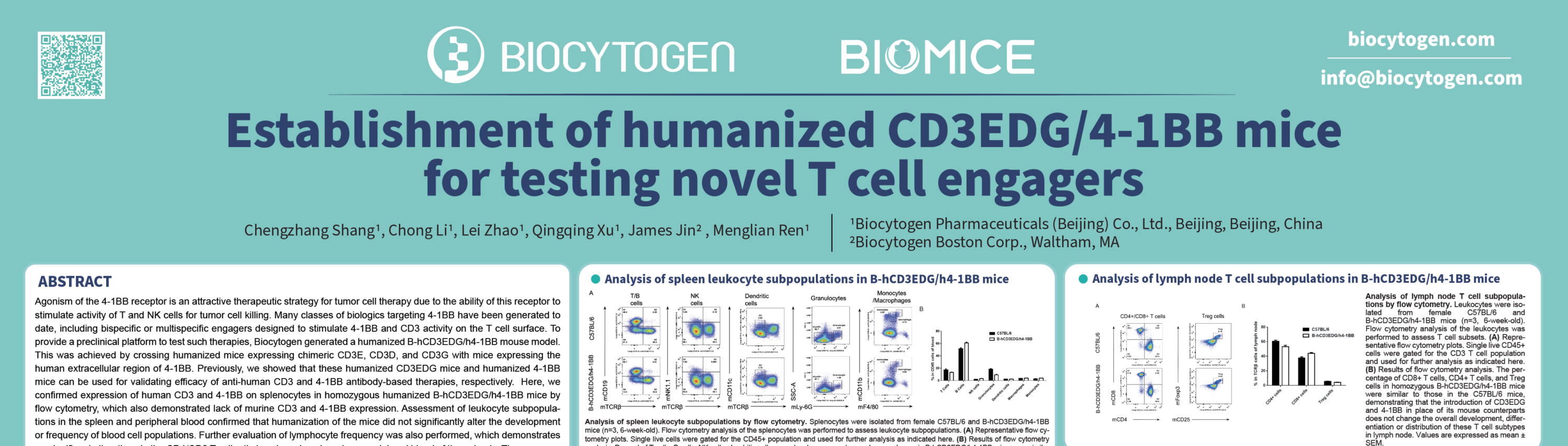 Aacr 2024: Establishment Of Humanized Cd3edg 4-1bb Mice For Testing 