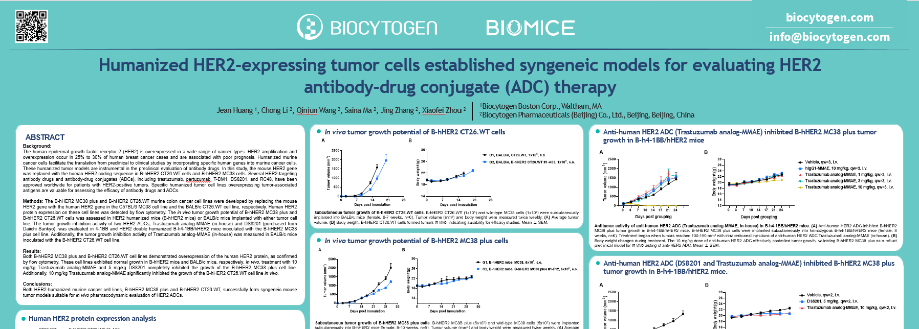 SITC 2024: Humanized HER2-expressing tumor cells established syngeneic ...